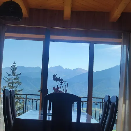 U Ali Domek alpejski